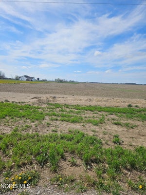 COUNTY RD 2A, DESHLER, OH 43516 - Image aba6191e58d823d90dc5f23b7eeb9ce8/2396542799