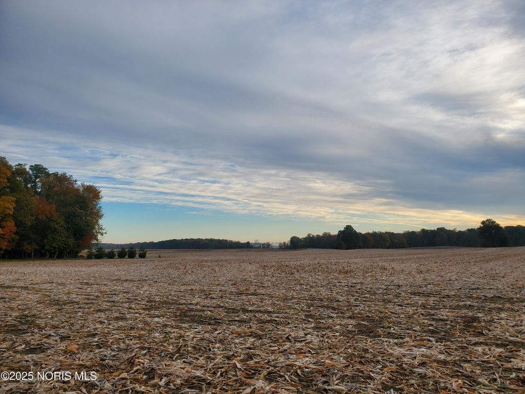 Photo for Township Hwy 51, Upper Sandusky, OH 43351 (MLS # 10000600)