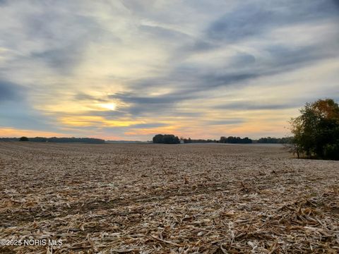 Tiny photo for Township Hwy 51, Upper Sandusky, OH 43351 (MLS # 10000600)