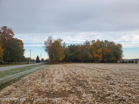 Tiny photo for Township Hwy 51, Upper Sandusky, OH 43351 (MLS # 10000600)