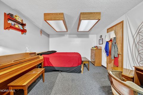 Tiny photo for 102 Monumental Street, Archbold, OH 43502 (MLS # 10007704)