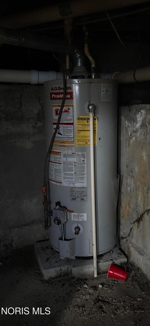 Tiny photo for 423 Appian Avenue, Napoleon, OH 43545 (MLS # 10005392)