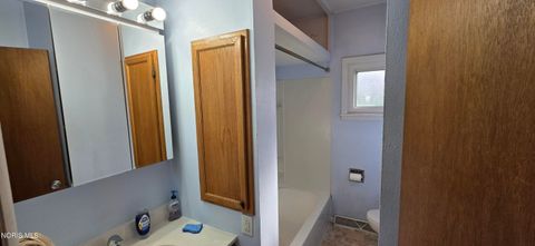 Tiny photo for 423 Appian Avenue, Napoleon, OH 43545 (MLS # 10005392)