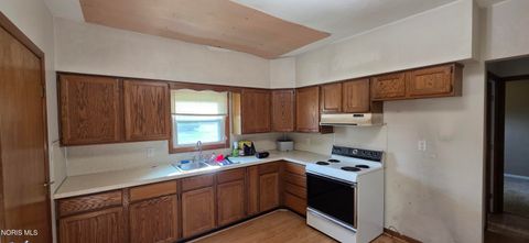 Tiny photo for 423 Appian Avenue, Napoleon, OH 43545 (MLS # 10005392)