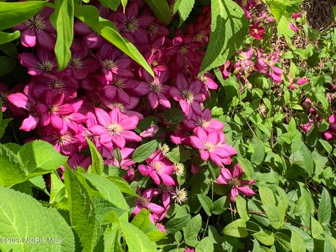 Tiny photo for 7557 Rymoor Court, Sylvania, OH 43560 (MLS # 10004598)