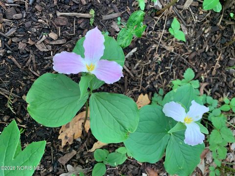 Tiny photo for 7557 Rymoor Court, Sylvania, OH 43560 (MLS # 10004598)