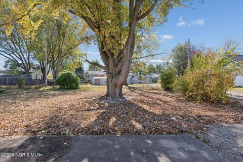 Tiny photo for 707 Park Street, Napoleon, OH 43545 (MLS # 10000382)