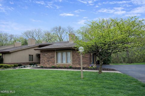 Photo of 5223 Pine Grove Court # 6, Toledo, OH 43615 (MLS # 10006025)