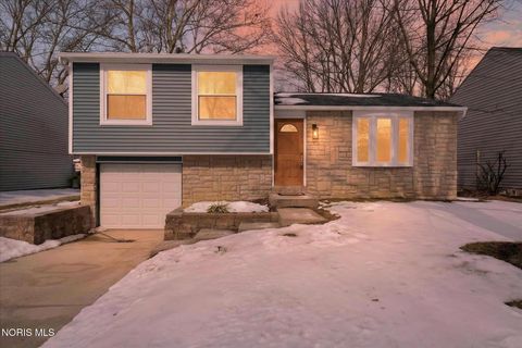 Photo of 4702 Vallejo Drive, Toledo, OH 43615 (MLS # 10004110)