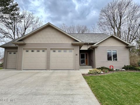 Photo of 415 Patrick Court, Bryan, OH 43506 (MLS # 10005984)