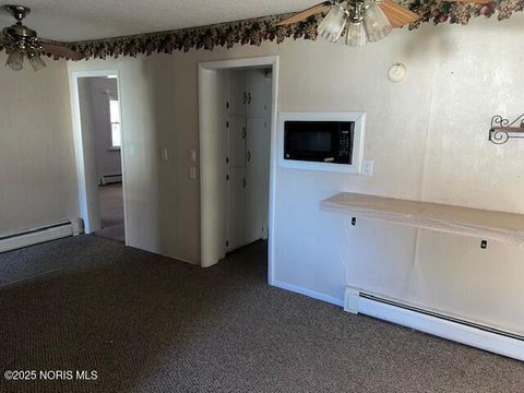Tiny photo for 117 Maple Street, Bradner, OH 43406 (MLS # 10000419)