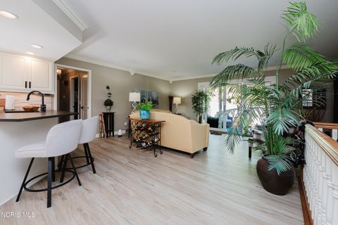 Tiny photo for 110 Hidden Timbers Drive, Ottawa, OH 45875 (MLS # 10007970)