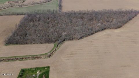Tiny photo for County Road 11, Wauseon, OH 43567 (MLS # 10007090)
