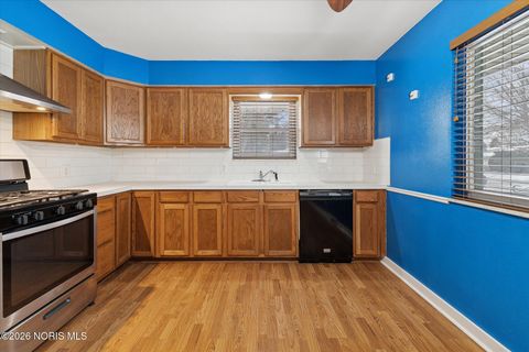 Tiny photo for 1004 Birch Avenue, Maumee, OH 43537 (MLS # 10003277)