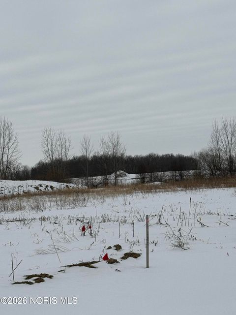 Photo of 9252 Summer Song Lane, Sylvania, OH 43560 (MLS # 10003926)