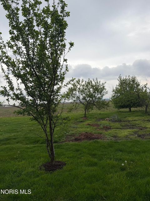 Tiny photo for 15885 Kinner Road, Holgate, OH 43527 (MLS # 10007055)