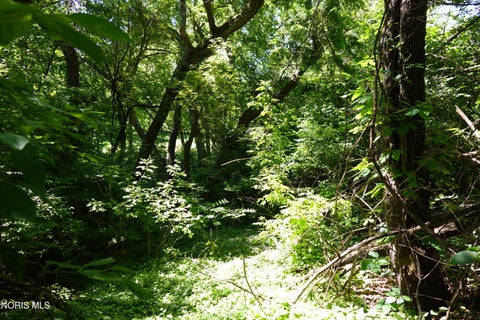 Tiny photo for 1677 Wyandotte Boulevard, Maumee, OH 43537 (MLS # 10009257)