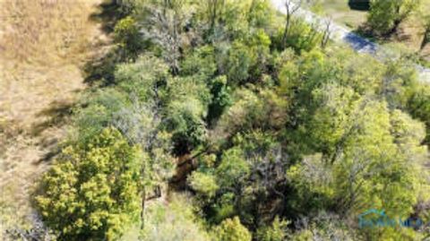 Tiny photo for 0 Ney Williams Center Road, Ney, OH 43549 (MLS # 10007829)