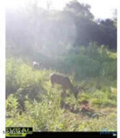 Tiny photo for 0 Ney Williams Center Road, Ney, OH 43549 (MLS # 10007829)