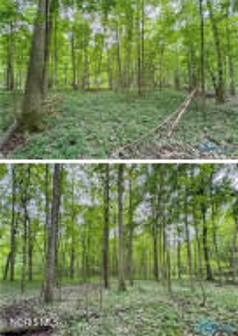 Tiny photo for 0 Ney Williams Center Road, Ney, OH 43549 (MLS # 10007829)