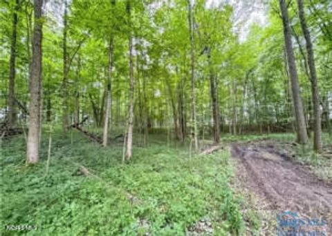 Tiny photo for 0 Ney Williams Center Road, Ney, OH 43549 (MLS # 10007829)
