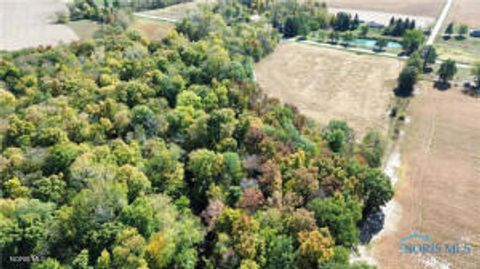 Tiny photo for 0 Ney Williams Center Road, Ney, OH 43549 (MLS # 10007829)