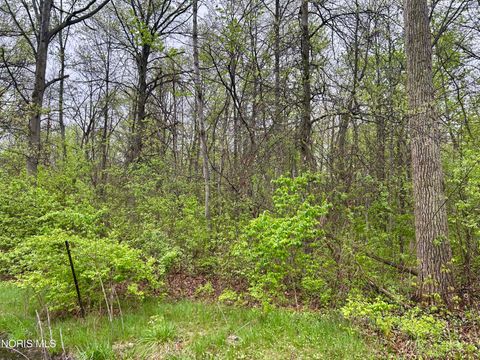 Tiny photo for 2873 Rd 424, Antwerp, OH 45813 (MLS # 10006833)