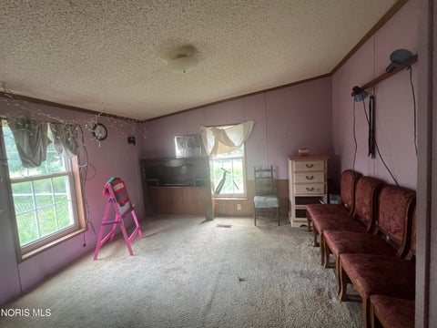Tiny photo for 7908 Grubb Street, Paulding, OH 45879 (MLS # 10011089)