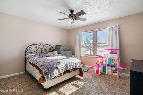 Tiny photo for 20095 County Road H50, West Unity, OH 43570 (MLS # 10003206)