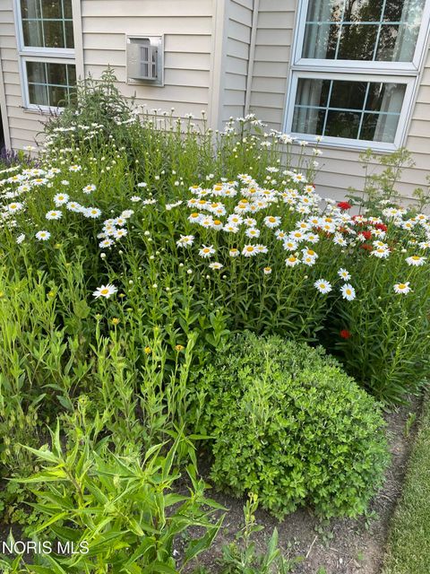 Tiny photo for 8464 Indian Lake Drive, Findlay, OH 45840 (MLS # 10004653)