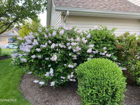 Tiny photo for 8464 Indian Lake Drive, Findlay, OH 45840 (MLS # 10004653)