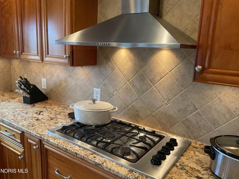 Tiny photo for 8464 Indian Lake Drive, Findlay, OH 45840 (MLS # 10004653)