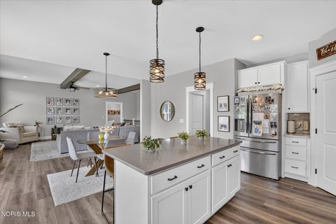 Tiny photo for 10639 Saron Lane, Whitehouse, OH 43571 (MLS # 10010449)