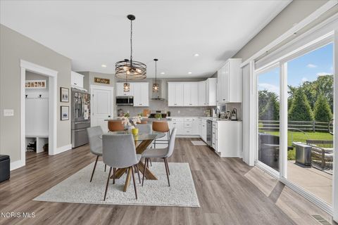 Tiny photo for 10639 Saron Lane, Whitehouse, OH 43571 (MLS # 10010449)