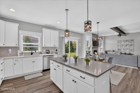 Tiny photo for 10639 Saron Lane, Whitehouse, OH 43571 (MLS # 10010449)
