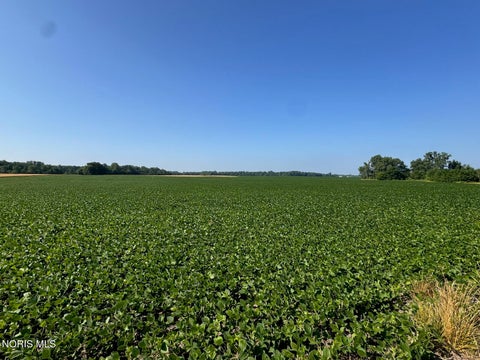 Photo of 000 County Road R Road, Pioneer, OH 43554 (MLS # 10013307)