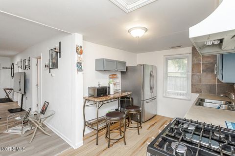 Tiny photo for 821 Elysian Avenue, Toledo, OH 43607 (MLS # 10007457)