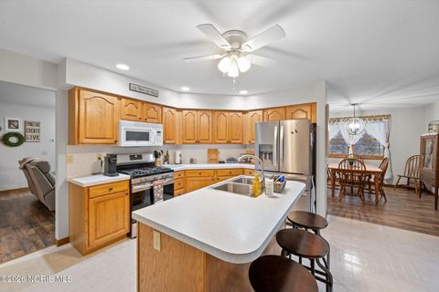 Tiny photo for 83 County Road 17, Napoleon, OH 43545 (MLS # 10002766)