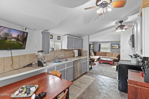 Tiny photo for 322 Beecher Avenue, Toledo, OH 43615 (MLS # 10005834)