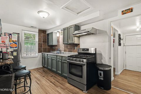 Tiny photo for 821 Elysian Avenue, Toledo, OH 43607 (MLS # 10009771)