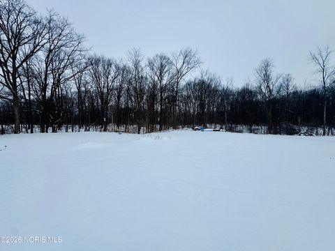 Tiny photo for 1105 E Main Street, Ney, OH 43549 (MLS # 10003742)