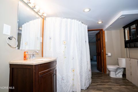 Tiny photo for 320 E Elm Street, Sherwood, OH 43556 (MLS # 10005464)