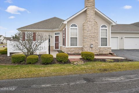 Photo of 8329 Ledgestone Avenue, Sylvania, OH 43560 (MLS # 10004985)