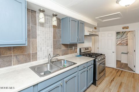 Tiny photo for 821 Elysian Avenue, Toledo, OH 43607 (MLS # 10008800)