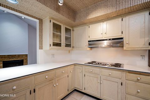 Tiny photo for 29644 E River Road, Perrysburg, OH 43551 (MLS # 10005791)