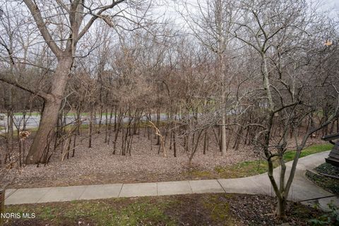 Tiny photo for 29644 E River Road, Perrysburg, OH 43551 (MLS # 10005791)