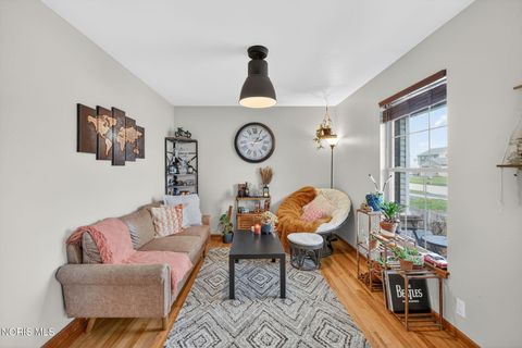 Tiny photo for 124 Springcove Lane, Holland, OH 43528 (MLS # 10006017)