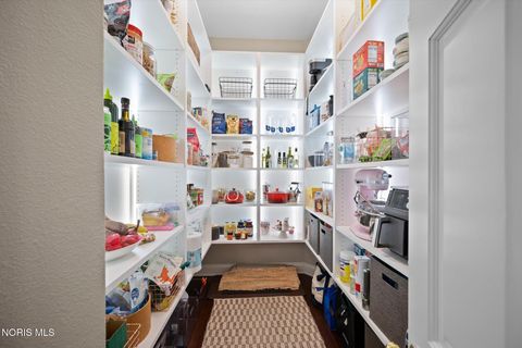 Tiny photo for 26976 W River Road, Perrysburg, OH 43551 (MLS # 10005247)