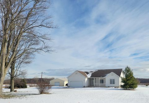 Photo of 7105 N Elliston Trowbridge Road, Martin, OH 43445 (MLS # 10002193)