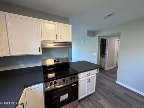 Tiny photo for 1158 Rockcress Drive, Toledo, OH 43615 (MLS # 10007436)